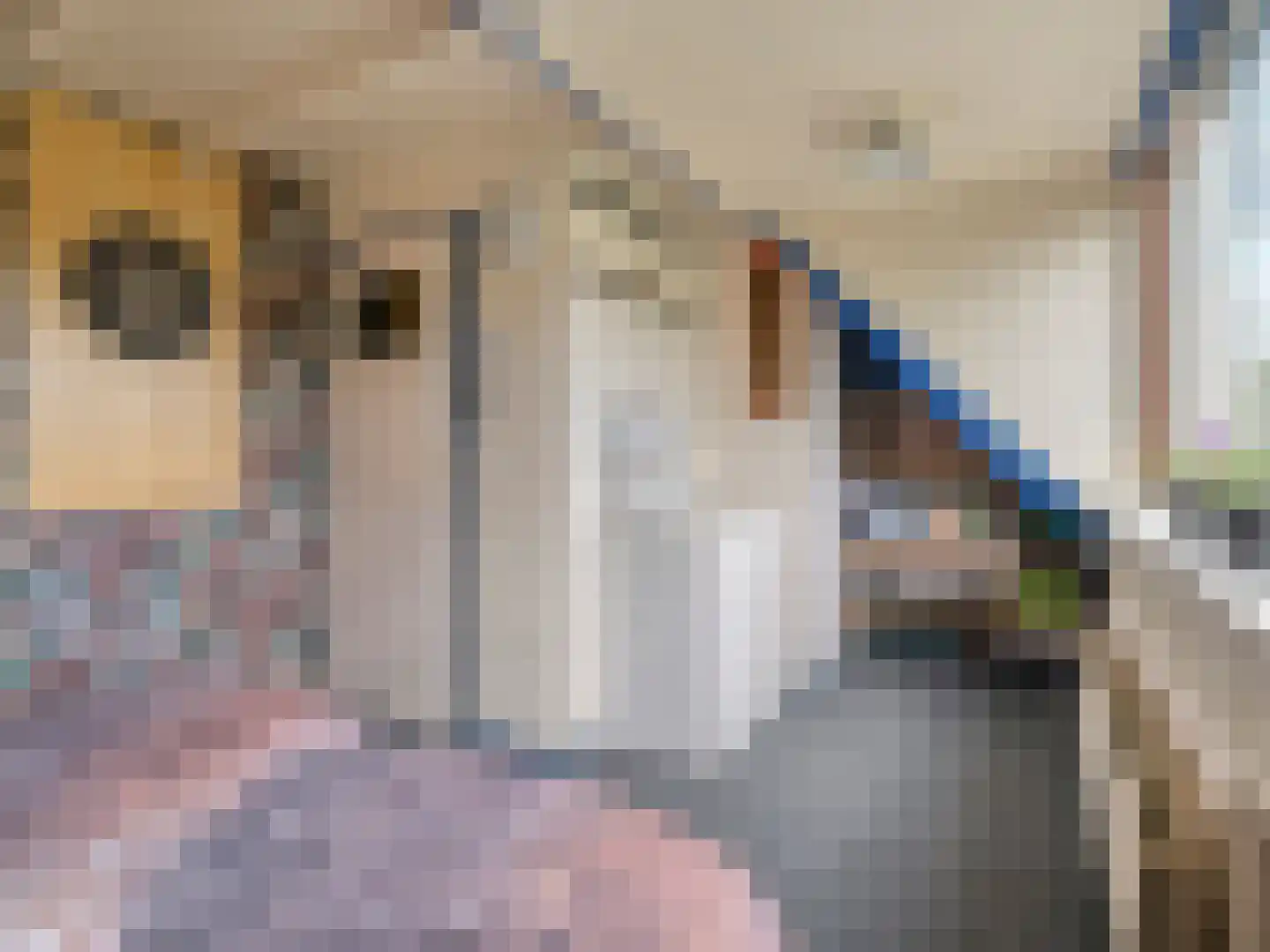 Cubalaan 50 Delft thumbnail 29