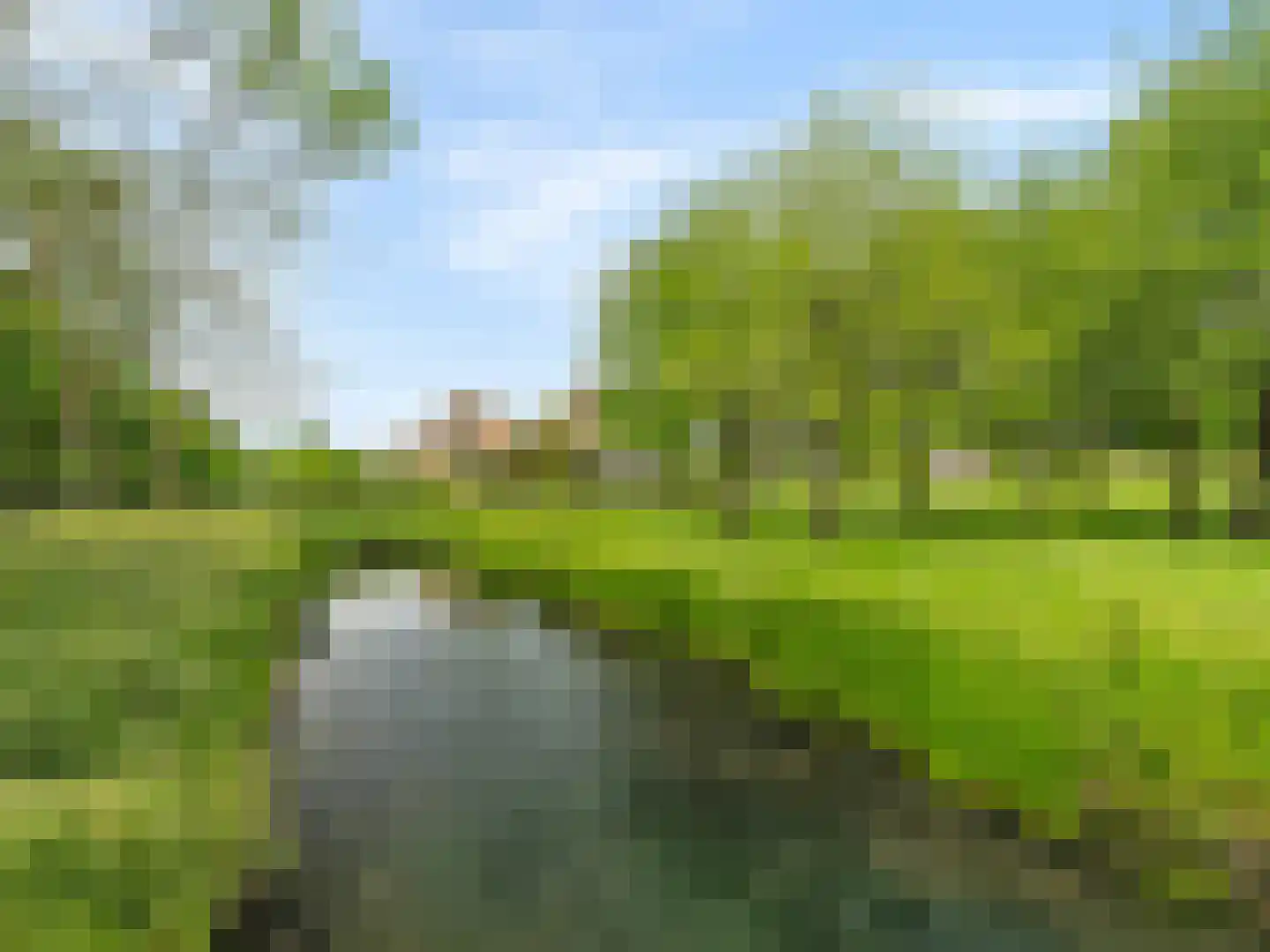 Cubalaan 50 Delft thumbnail 31