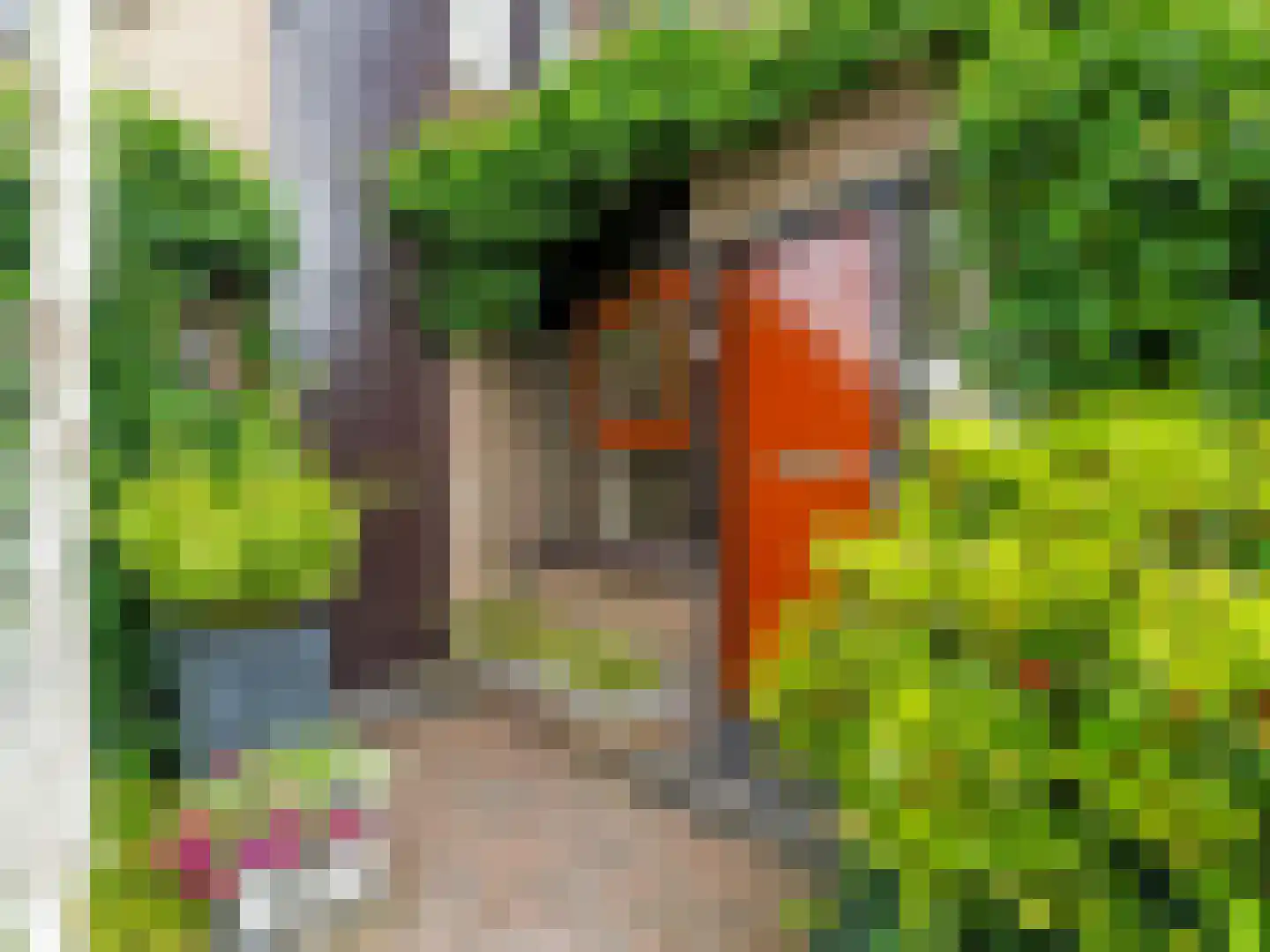 Cubalaan 50 Delft thumbnail 6