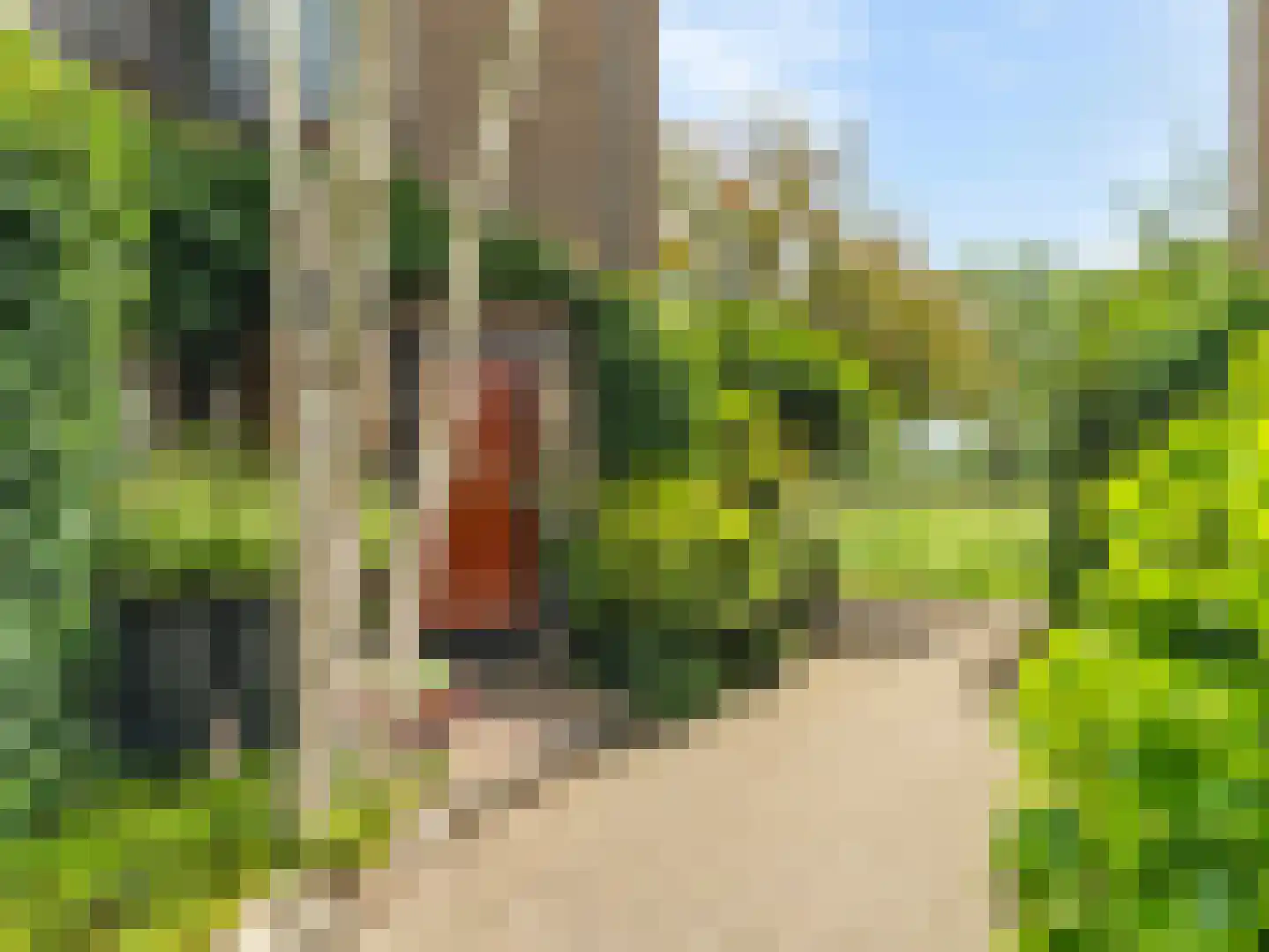 Cubalaan 50 Delft thumbnail 7