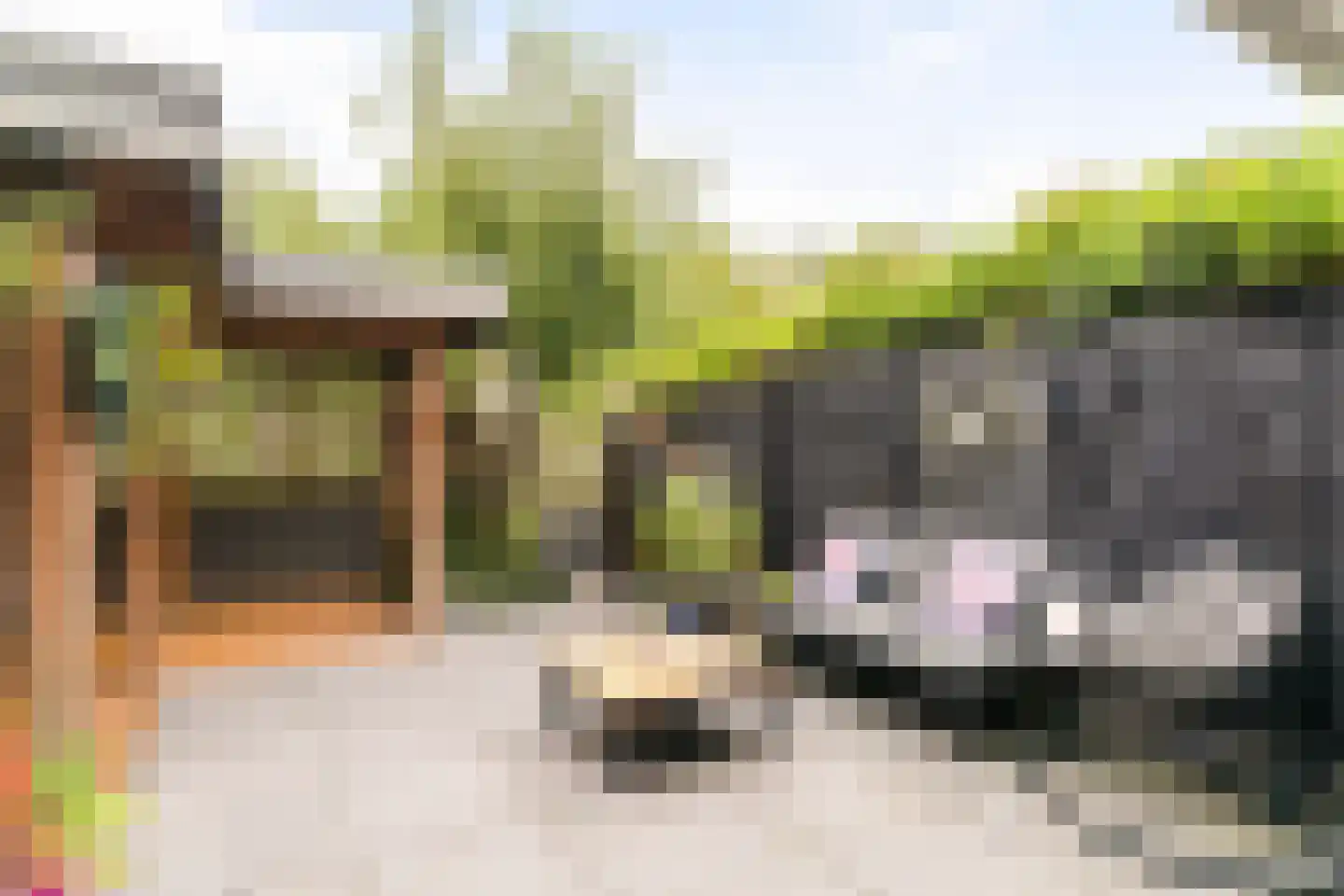 Cubalaan 52 Delft thumbnail 18