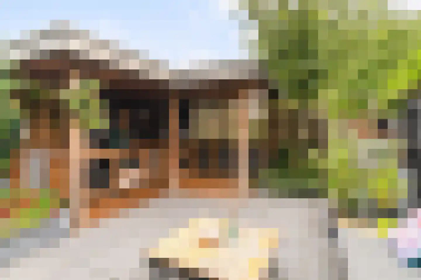 Cubalaan 52 Delft thumbnail 19