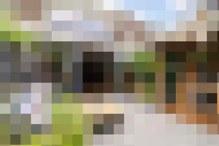 Cubalaan 52 Delft thumbnail 20