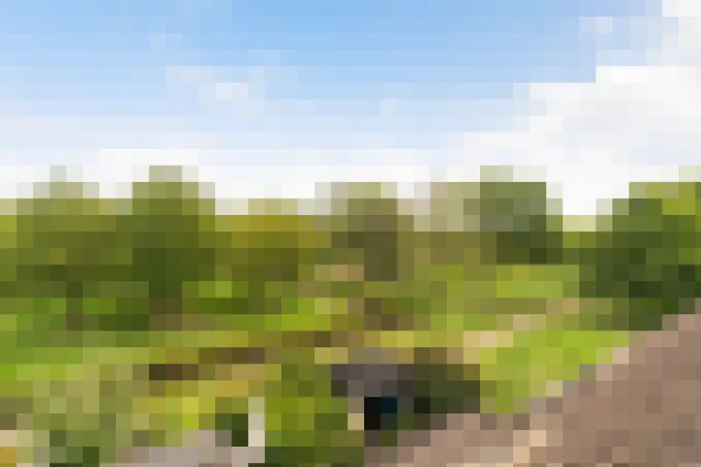 Cubalaan 52 Delft thumbnail 42