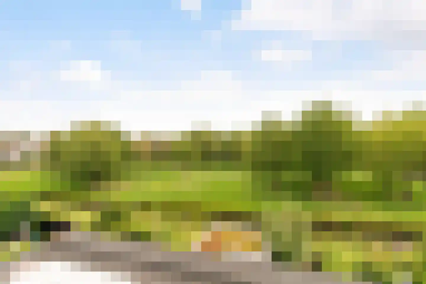 Cubalaan 52 Delft thumbnail 43
