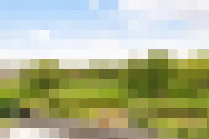 Cubalaan 52 Delft thumbnail 43