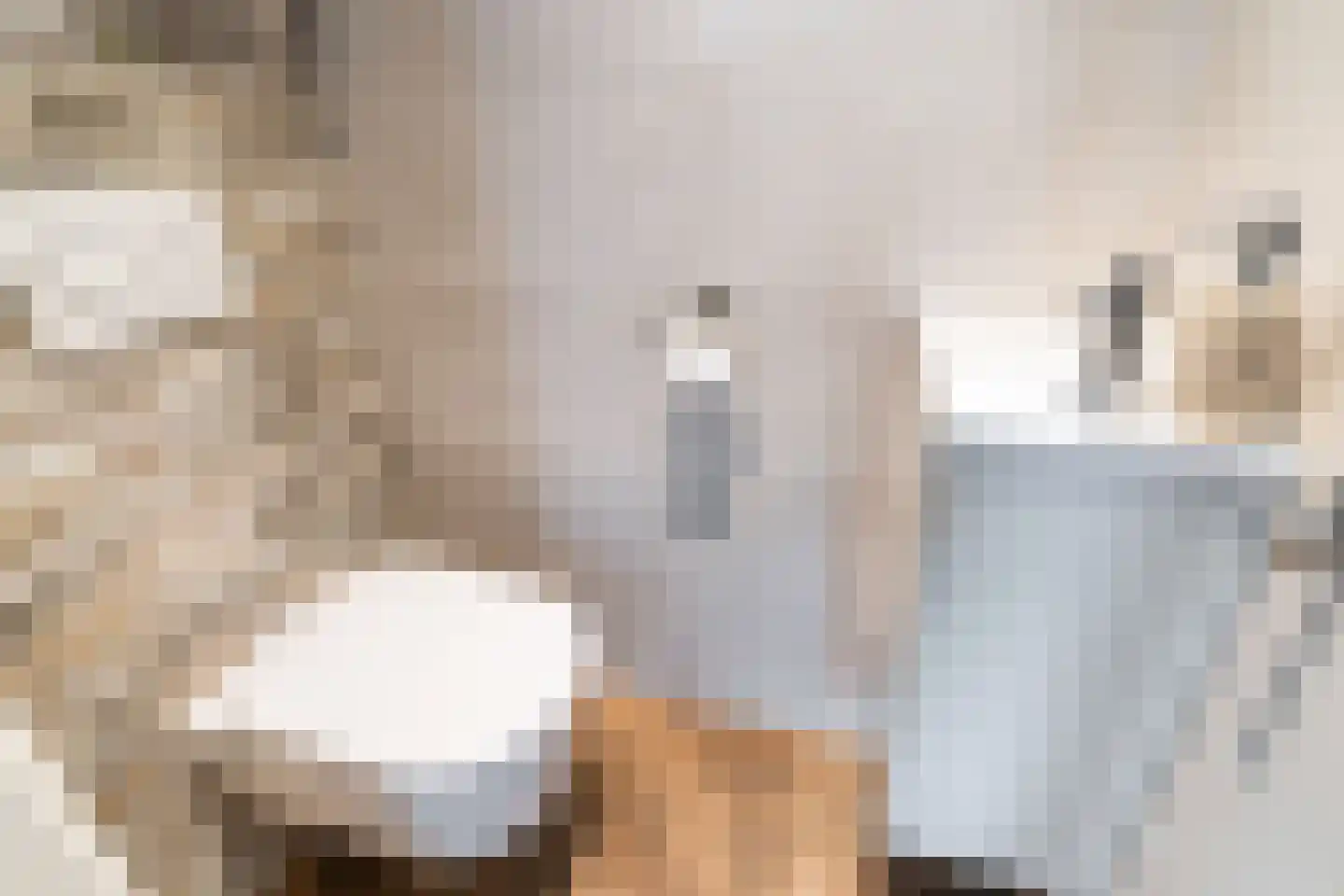 Cubalaan 52 Delft thumbnail 7