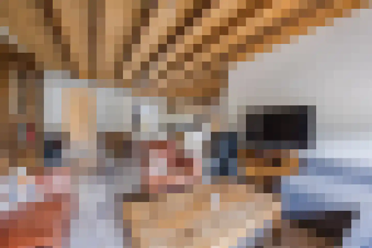 Cuijkseweg 13 Haps thumbnail 6