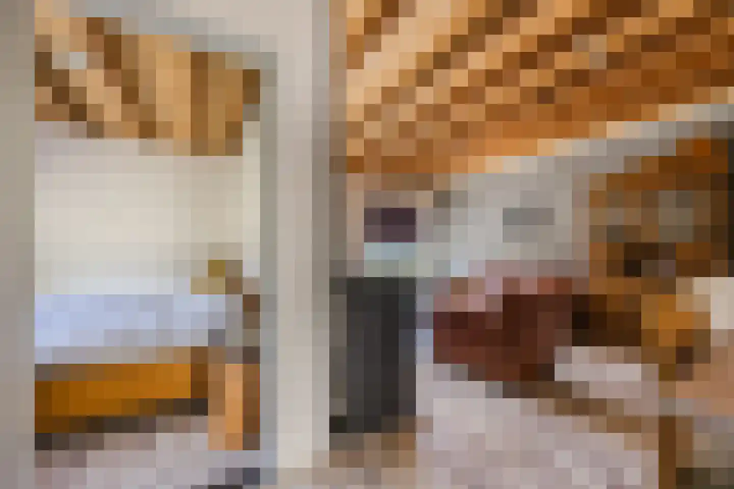 Cuijkseweg 13 Haps thumbnail 8