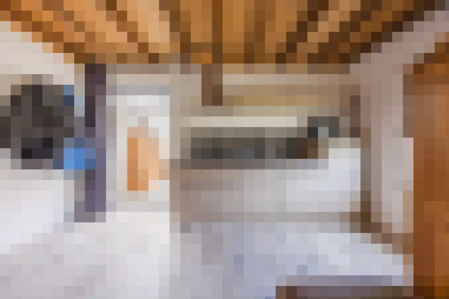 Cuijkseweg 13 Haps thumbnail 9