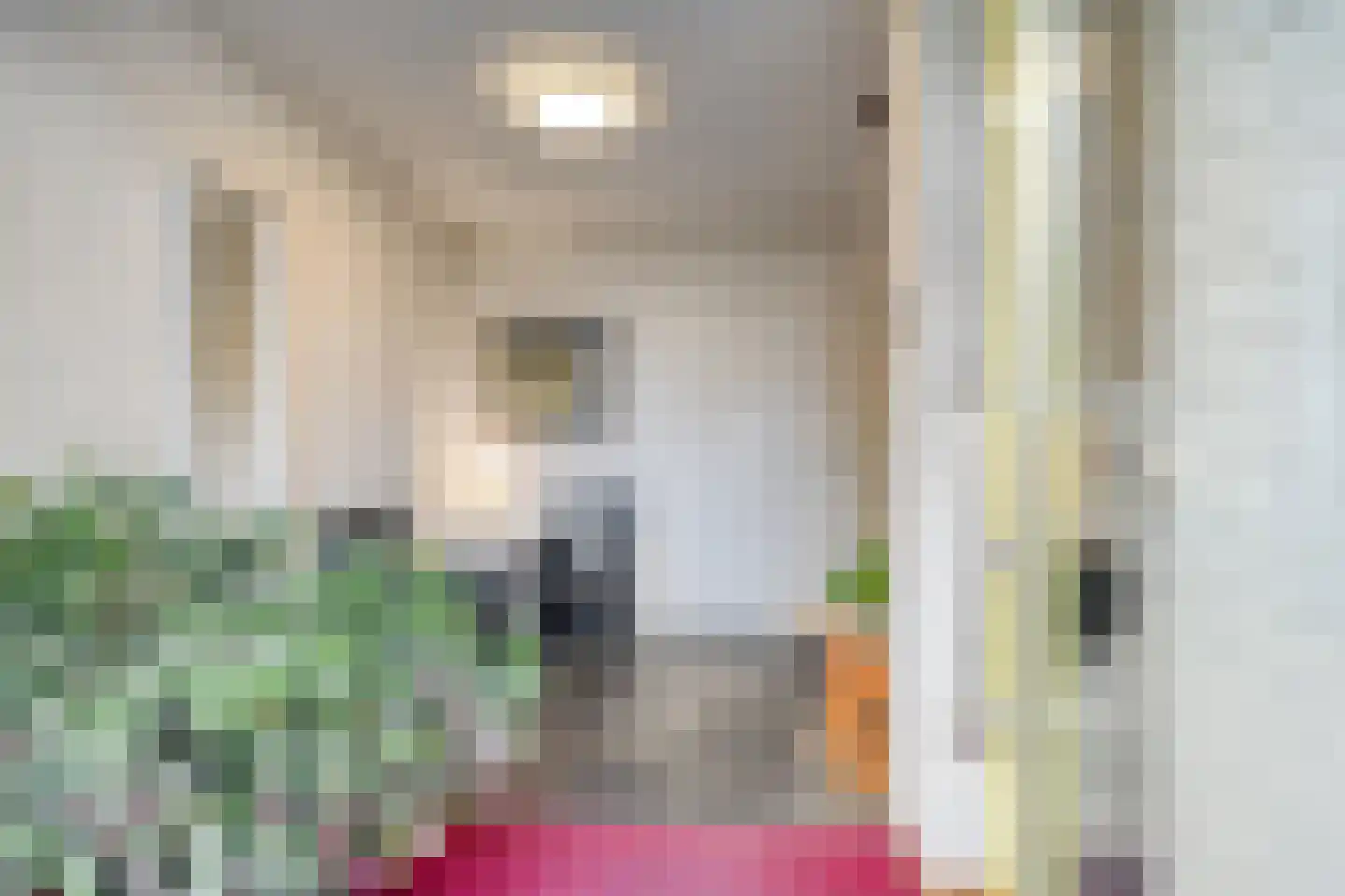 Cuijkseweg 21 Haps thumbnail 11