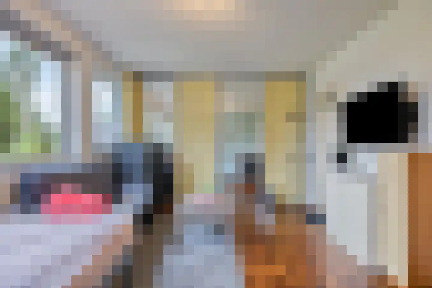 Cuijkseweg 21 Haps thumbnail 15