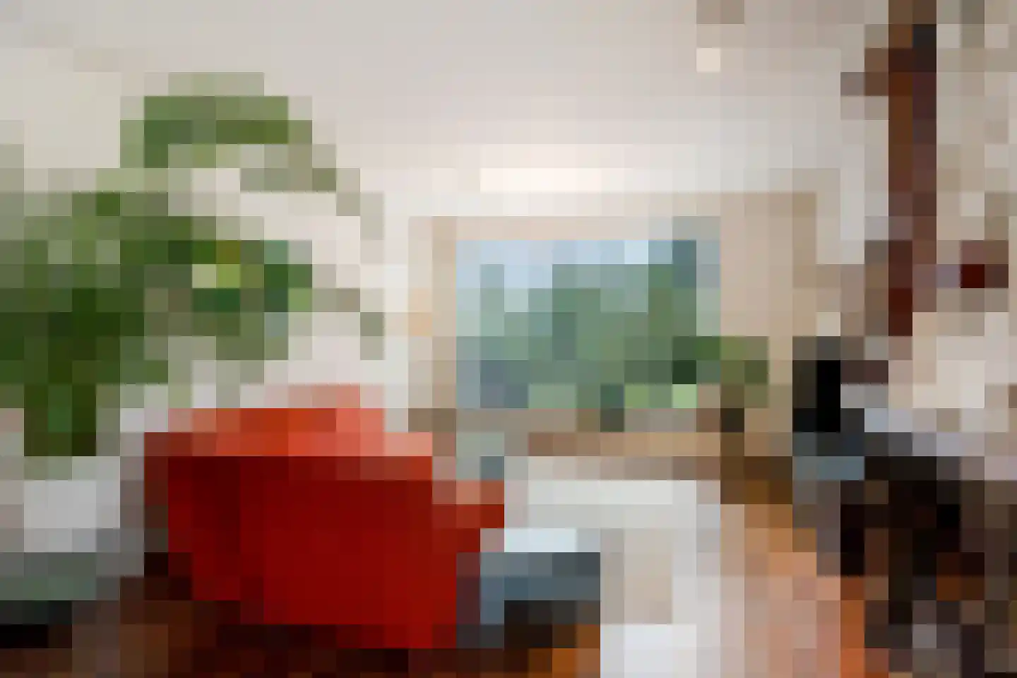 Cuijkseweg 21 Haps thumbnail 19