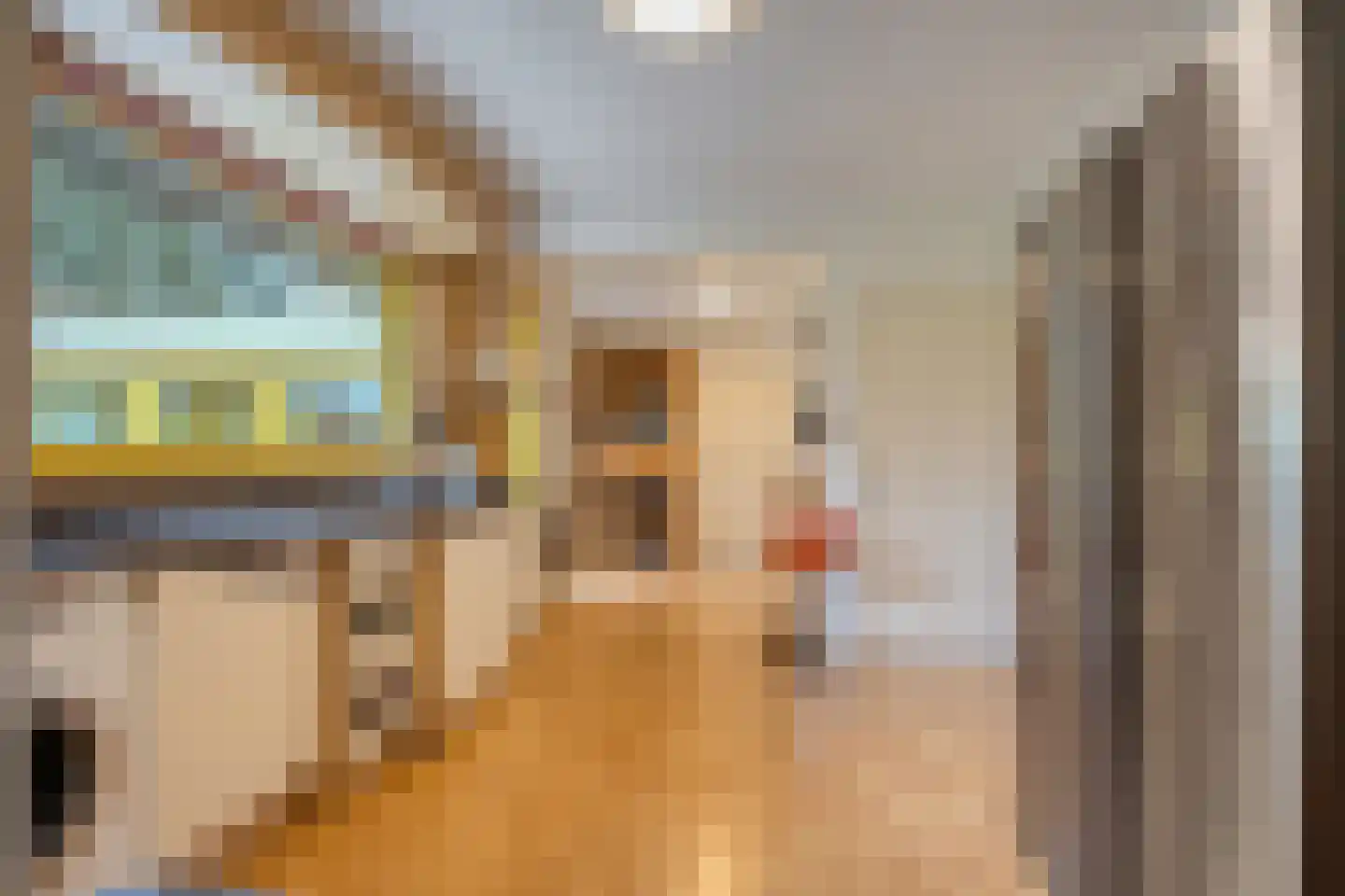 Cuijkseweg 21 Haps thumbnail 22