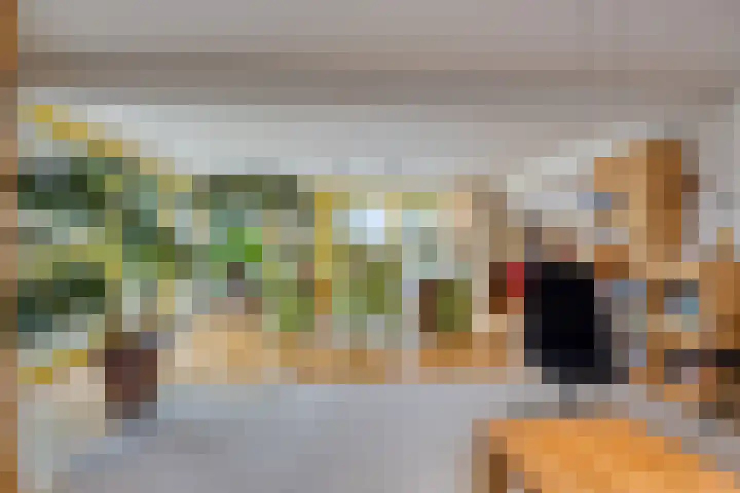 Cuijkseweg 21 Haps thumbnail 24