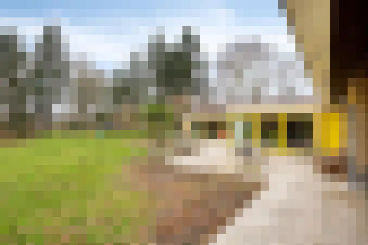 Cuijkseweg 21 Haps thumbnail 40
