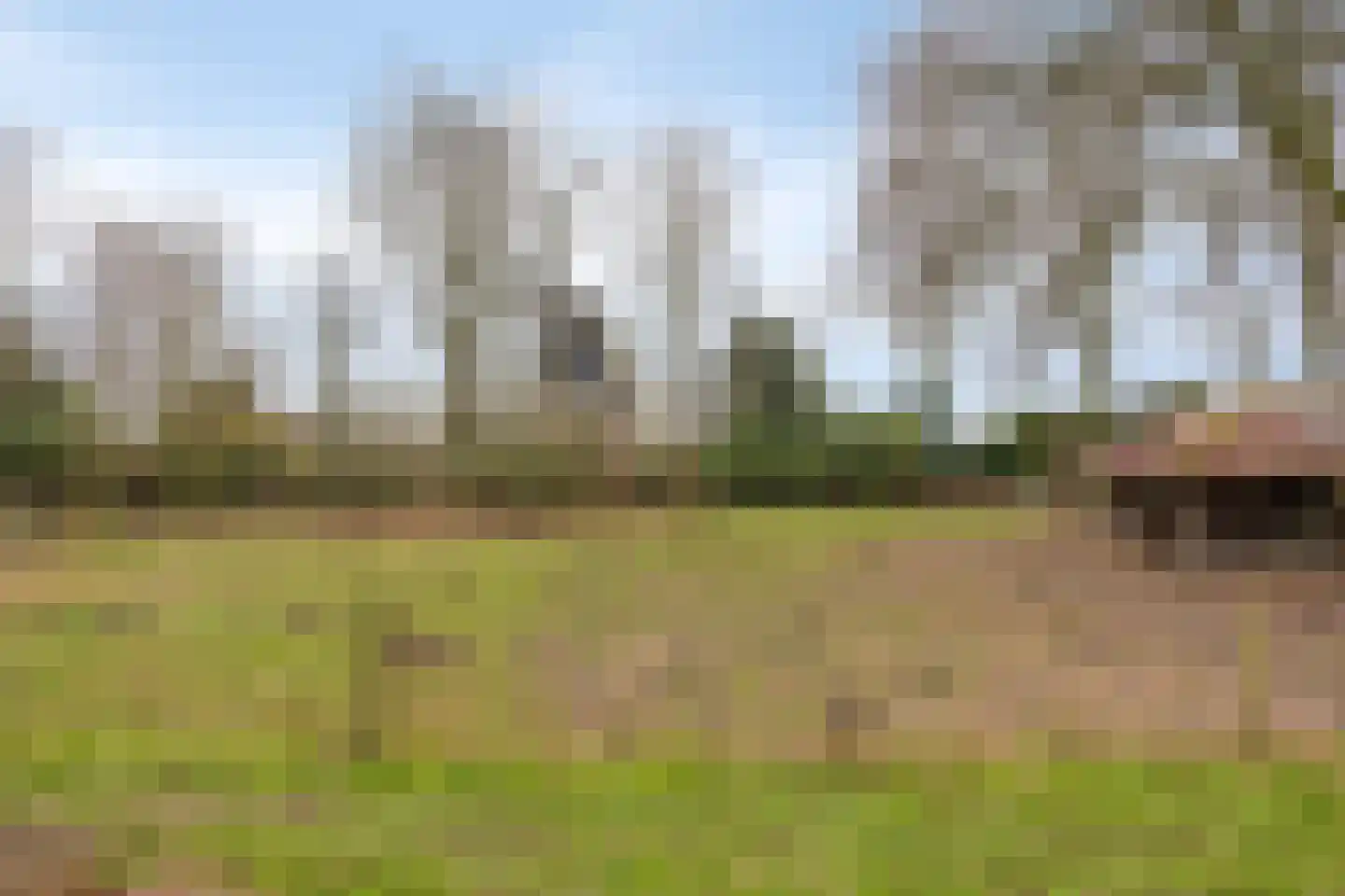 Cuijkseweg 21 Haps thumbnail 43