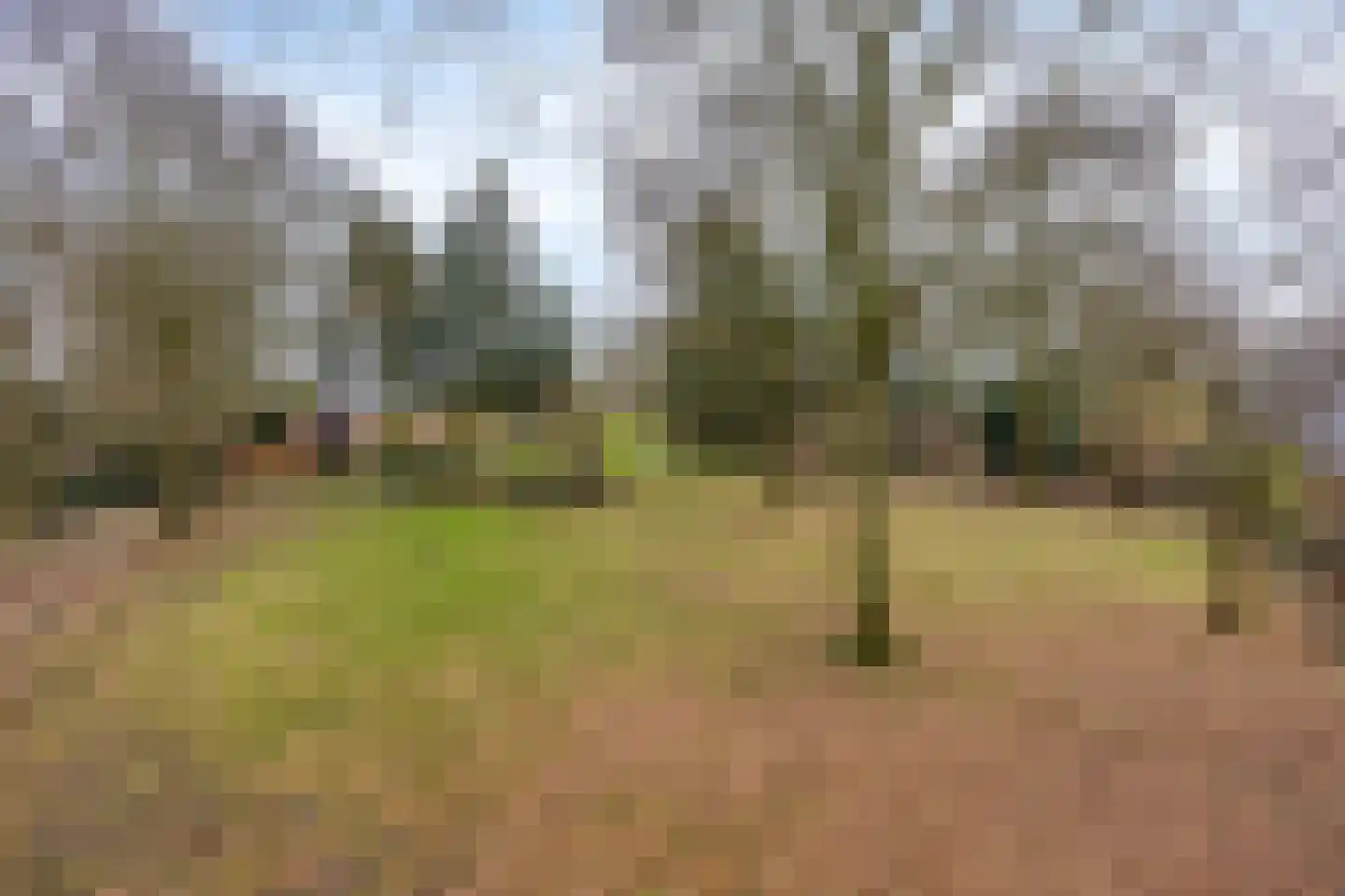 Cuijkseweg 21 Haps thumbnail 44