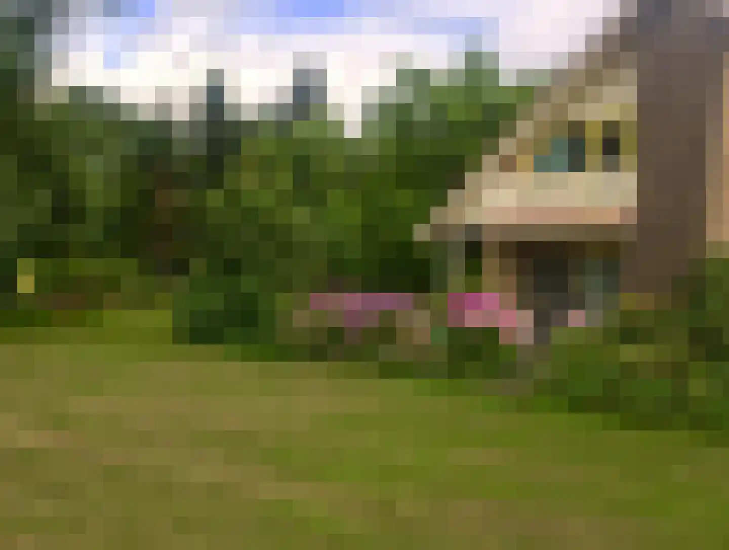 Cuijkseweg 21 Haps thumbnail 47