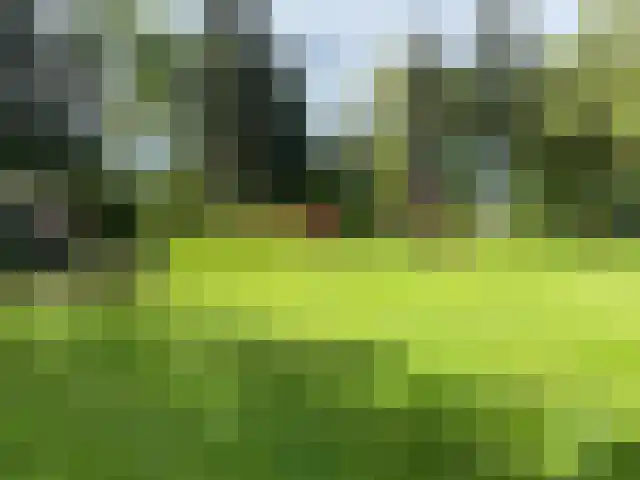 Cuijkseweg 21 Haps thumbnail 49