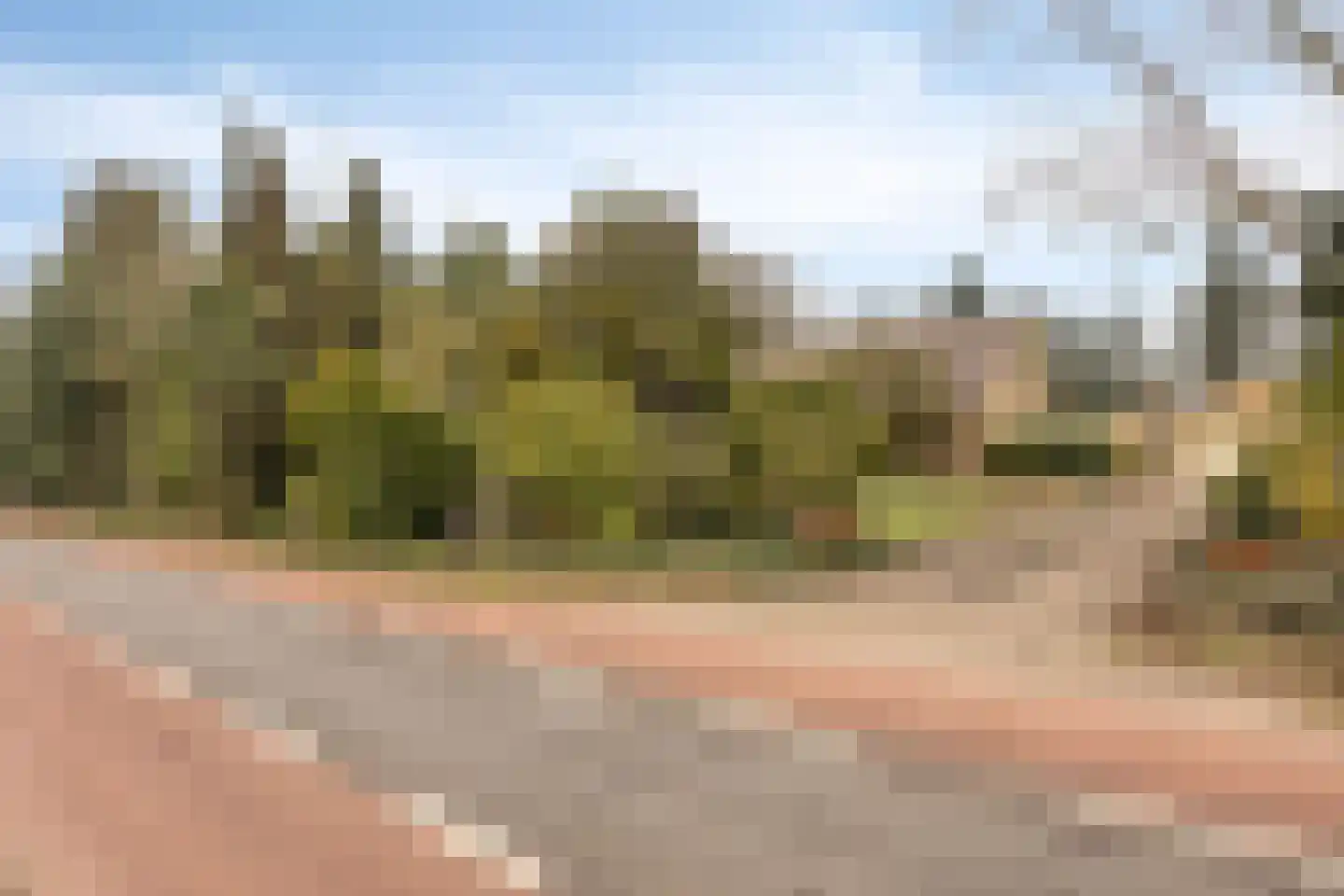 Cuijkseweg 21 Haps thumbnail 50