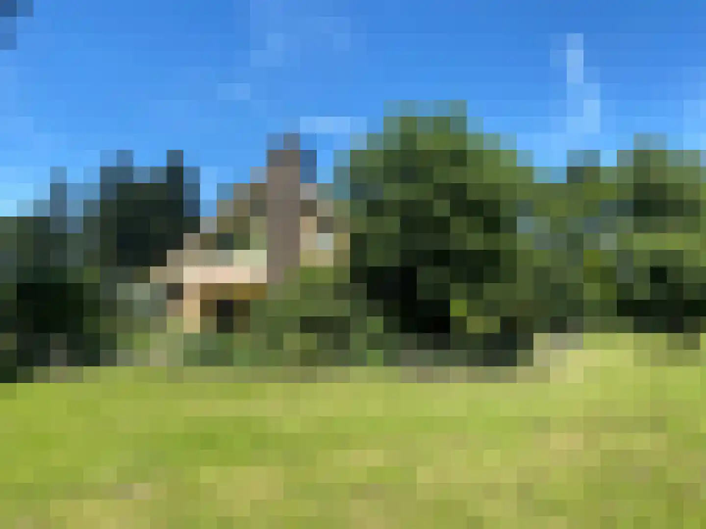 Cuijkseweg 21 Haps thumbnail 54
