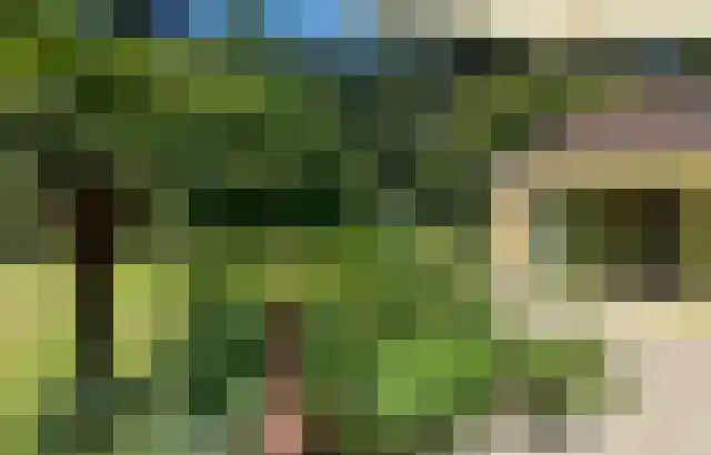 Cuijkseweg 21 Haps thumbnail 56