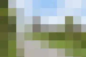 Cuijkseweg 21 Haps thumbnail 58