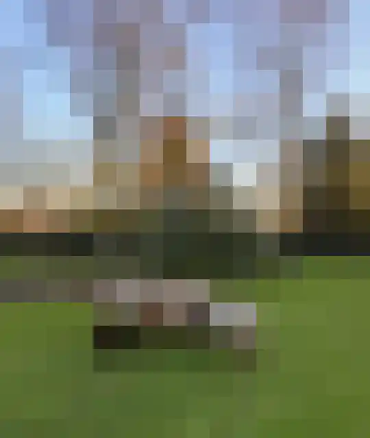 Cuijkseweg 21 Haps thumbnail 59