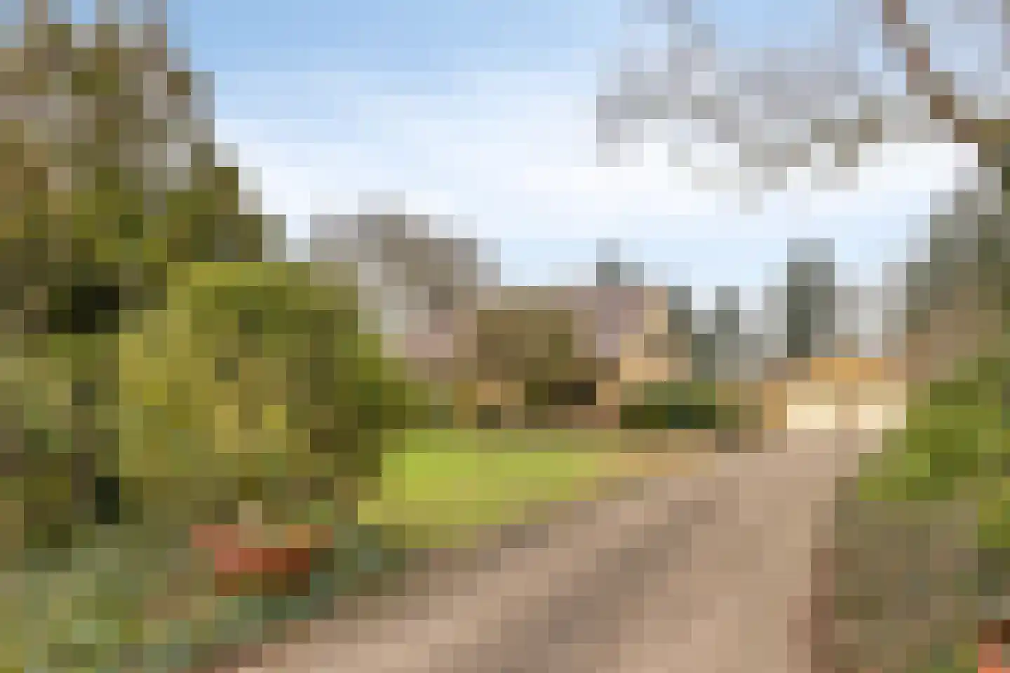 Cuijkseweg 21 Haps thumbnail 6