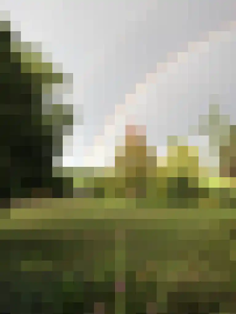Cuijkseweg 21 Haps thumbnail 60