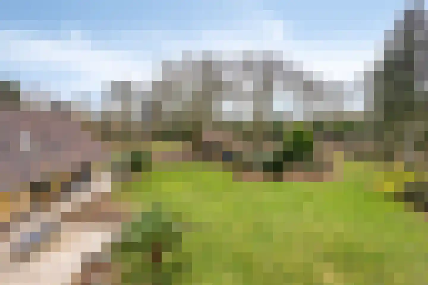 Cuijkseweg 21 Haps thumbnail 8