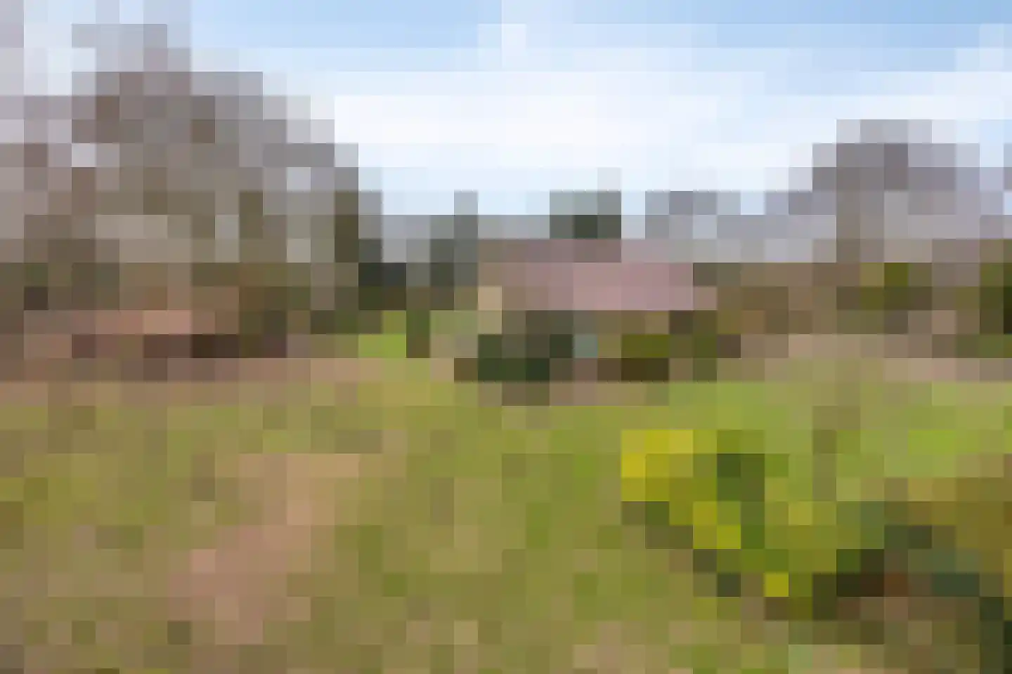 Cuijkseweg 21 Haps thumbnail 9