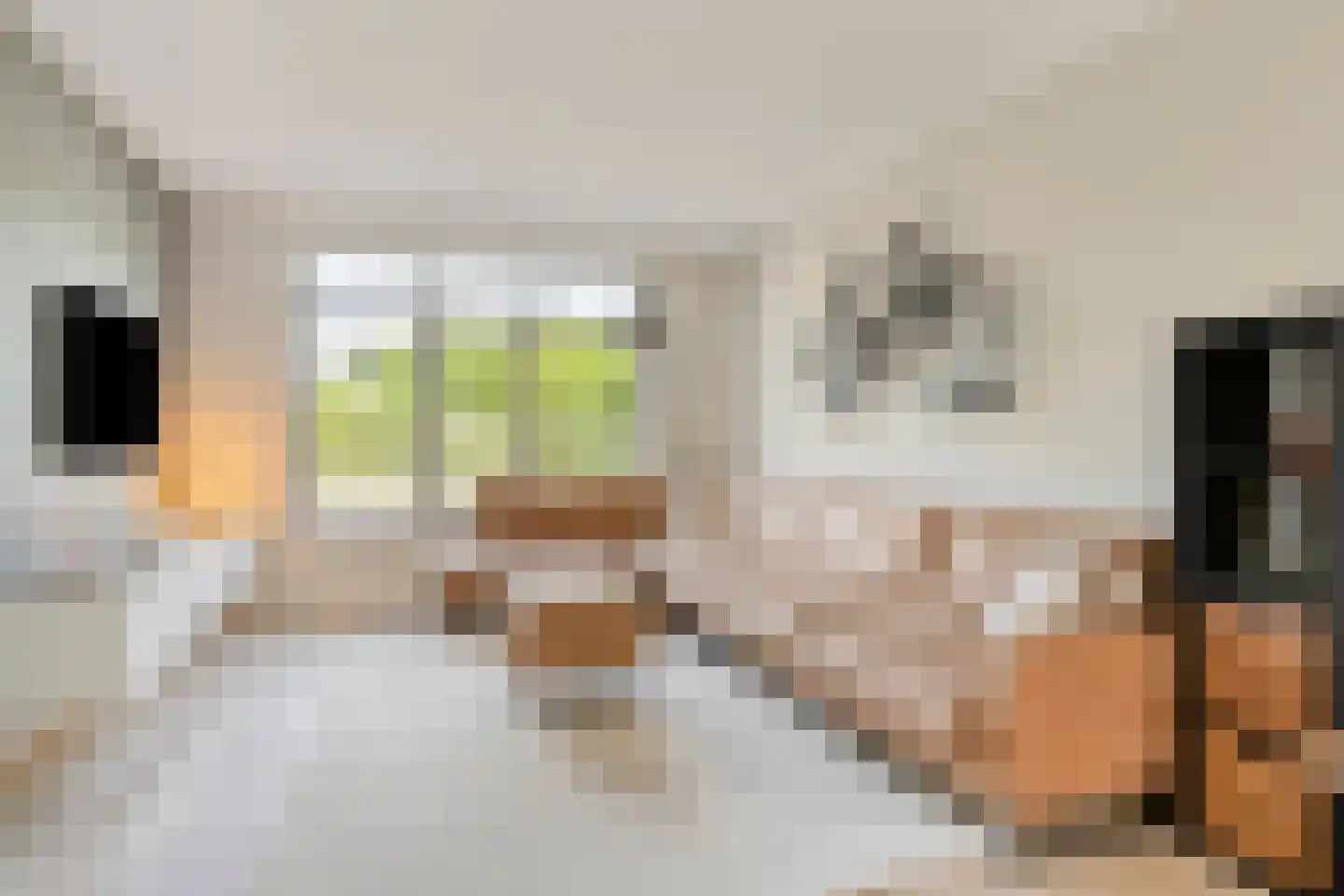 Cuijkstraat 1 Uden thumbnail 10