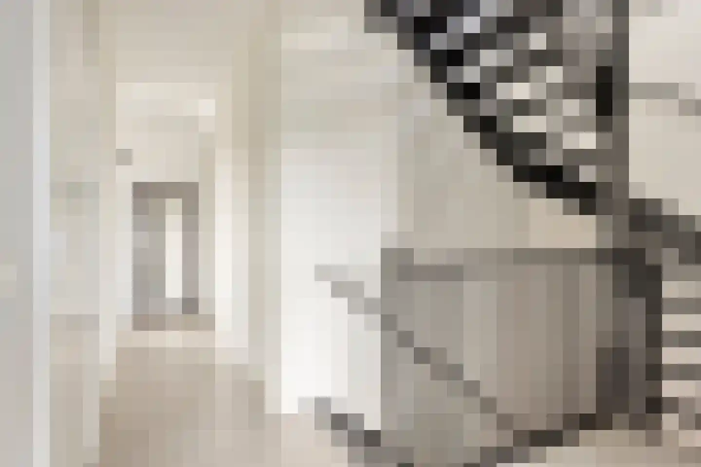 Cuijkstraat 1 Uden thumbnail 24