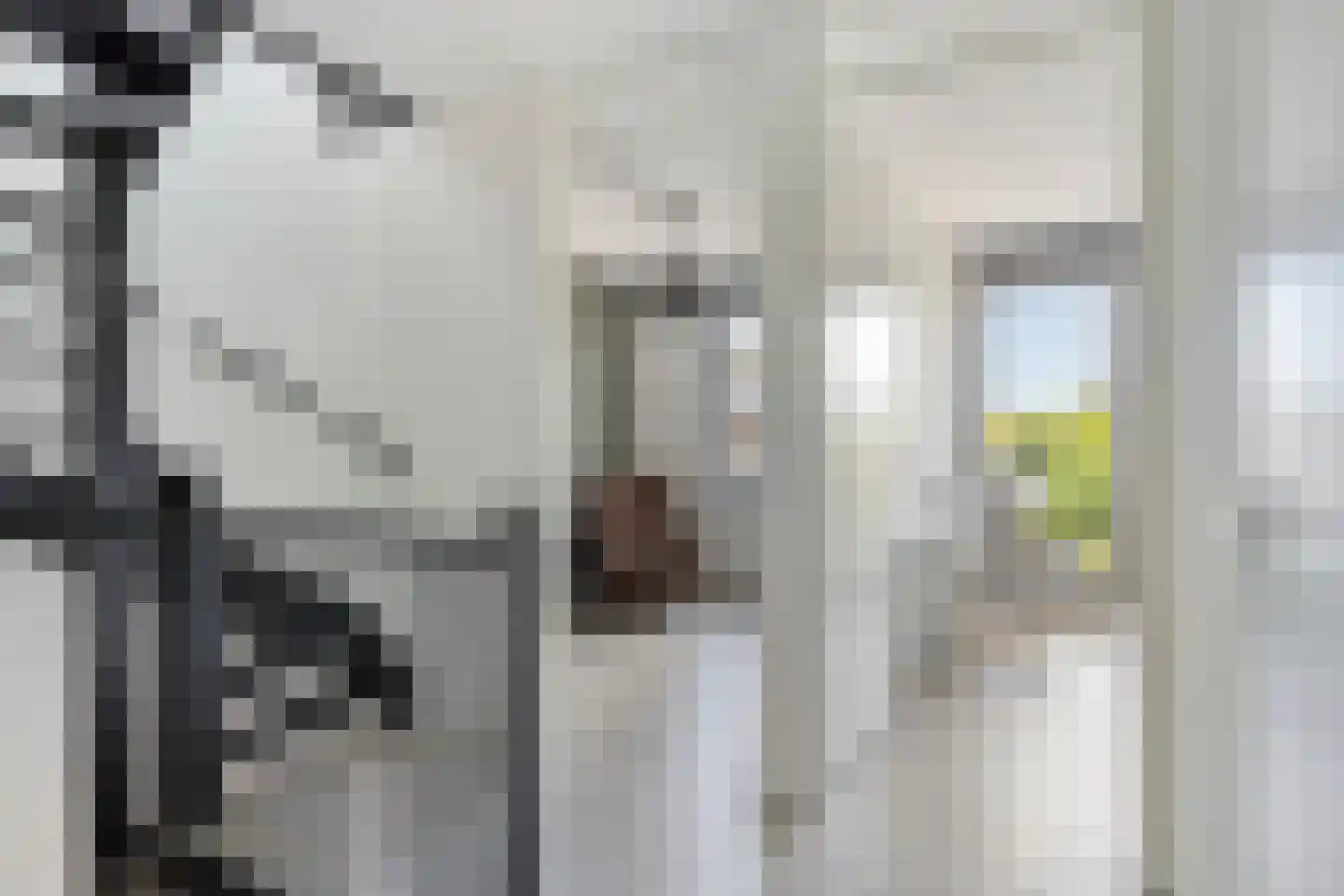 Cuijkstraat 1 Uden thumbnail 25