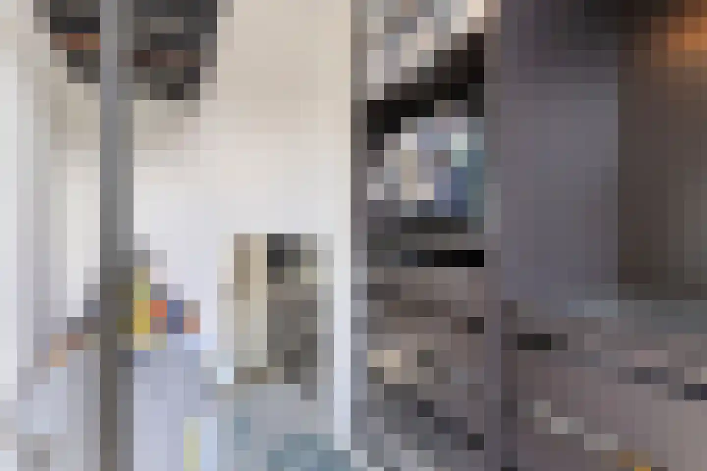 Cuijkstraat 1 Uden thumbnail 34