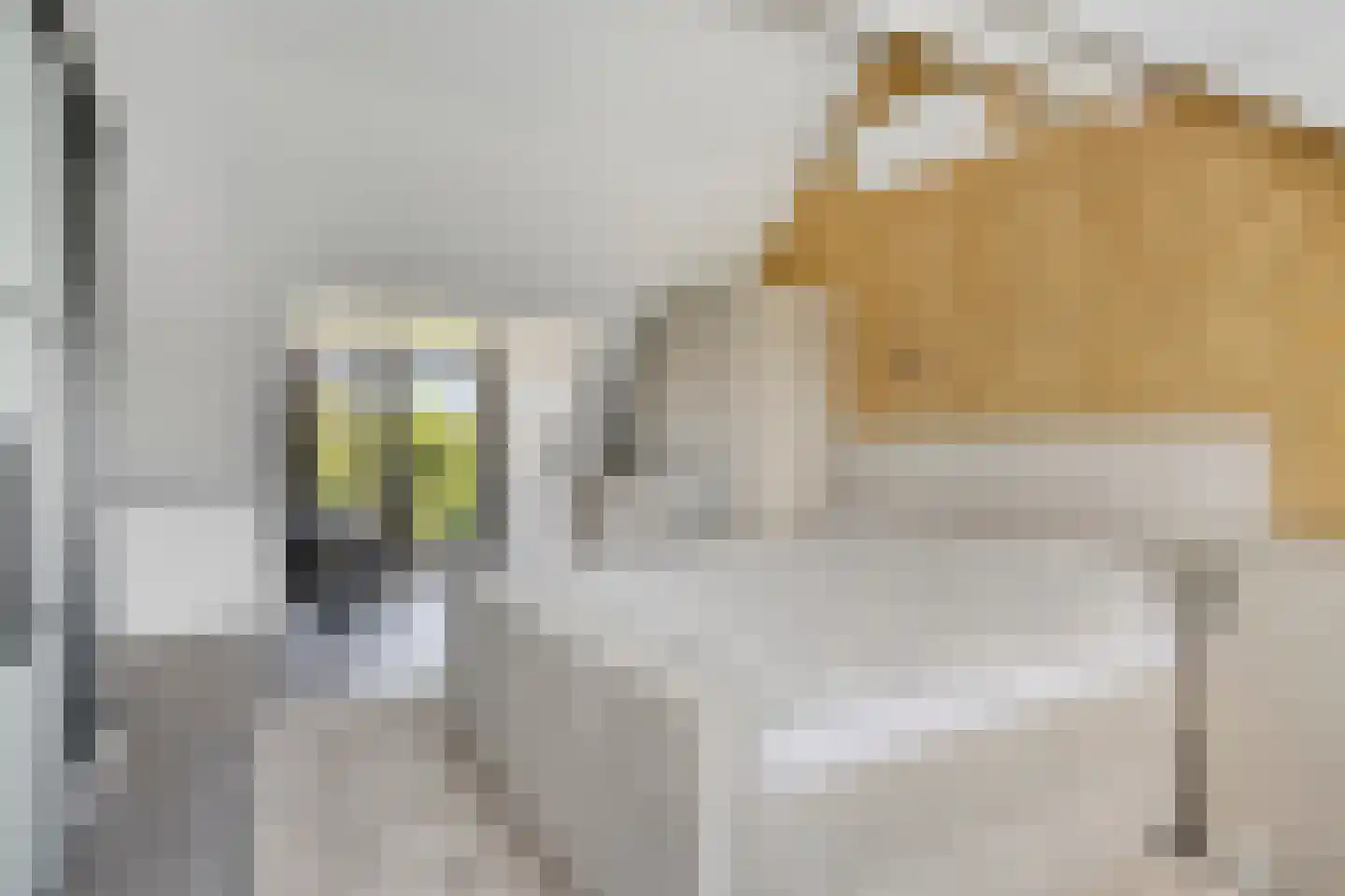 Cuijkstraat 1 Uden thumbnail 36