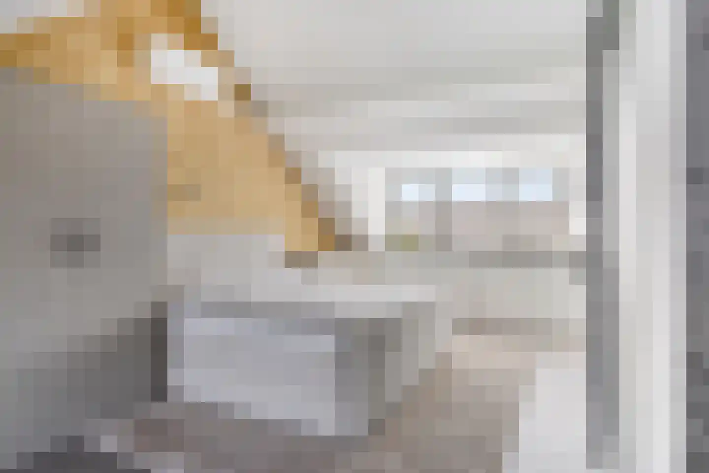 Cuijkstraat 1 Uden thumbnail 38