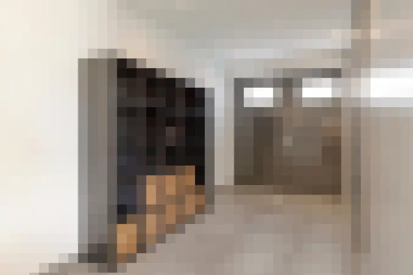Cuijkstraat 1 Uden thumbnail 42