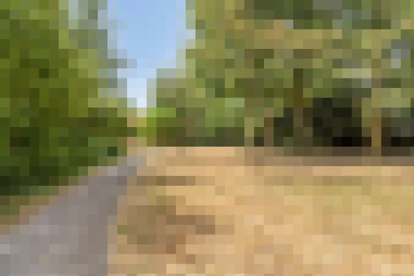 Cuijkstraat 1 Uden thumbnail 50