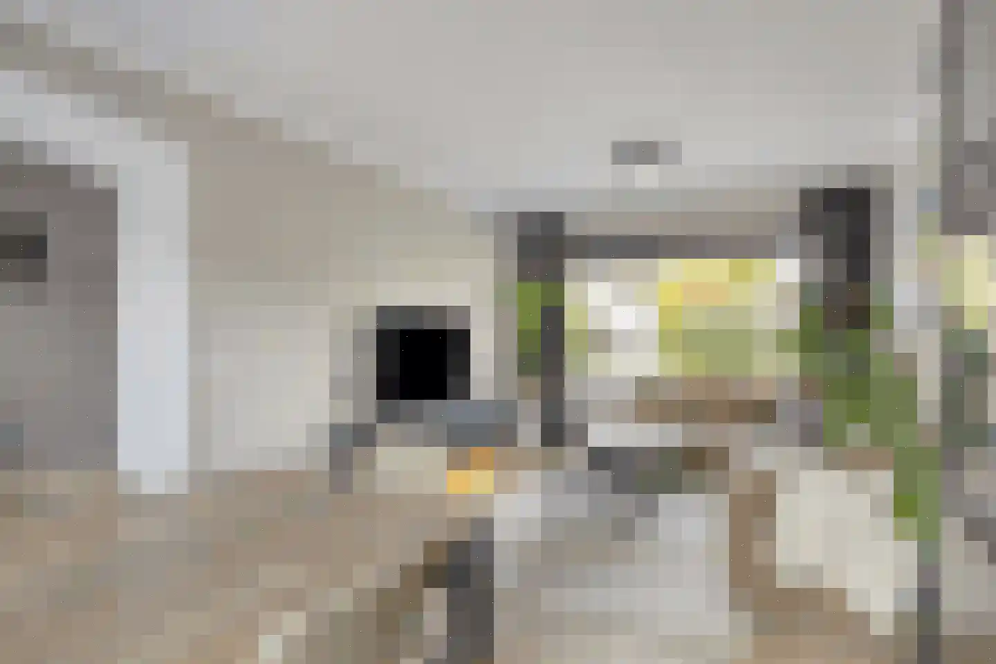 Cuijkstraat 30 Uden thumbnail 12