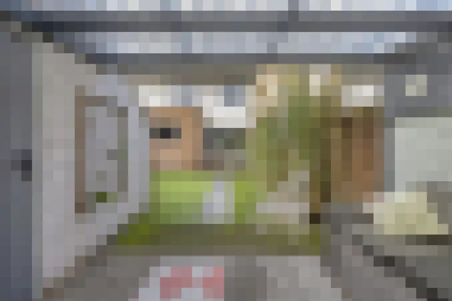 Cuijkstraat 30 Uden thumbnail 31