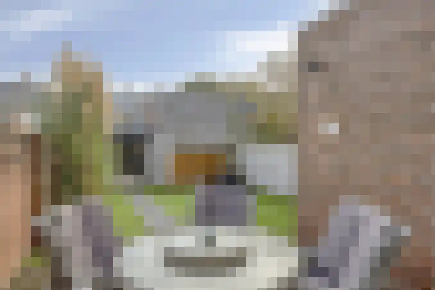 Cuijkstraat 30 Uden thumbnail 6