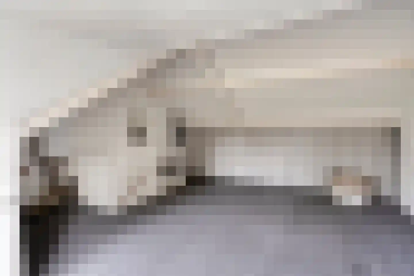 Cuijkstraat 39 Arnhem thumbnail 32