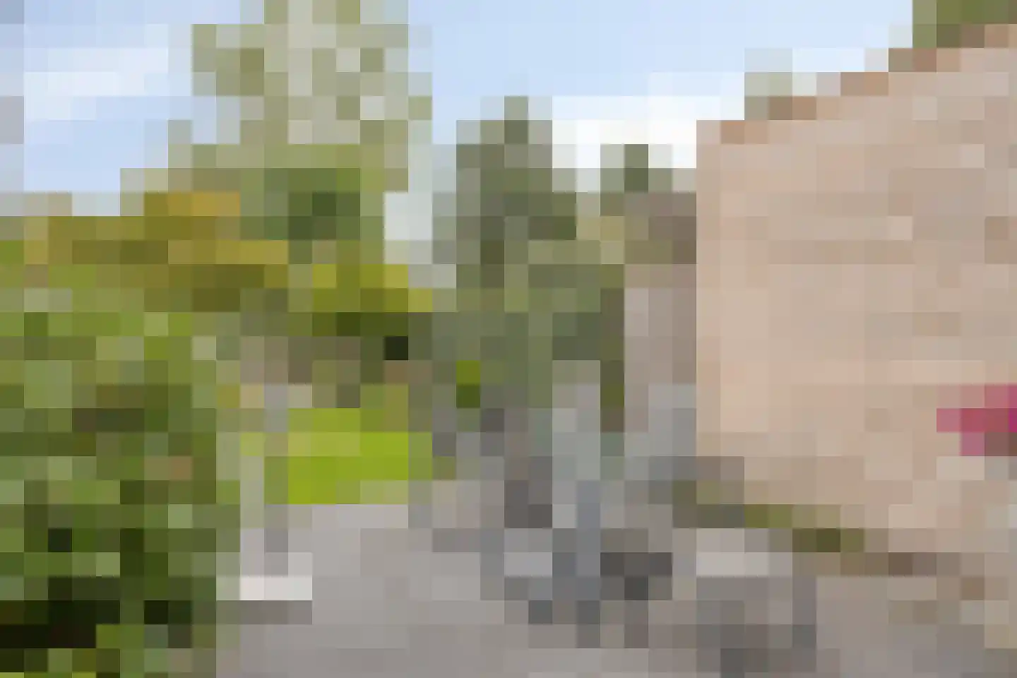 Cuijkstraat 39 Arnhem thumbnail 34