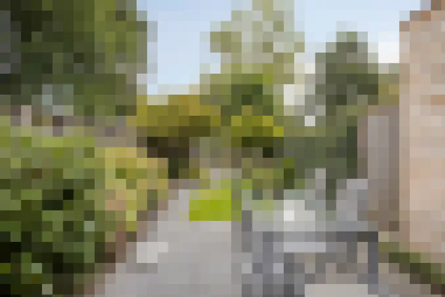 Cuijkstraat 39 Arnhem thumbnail 35
