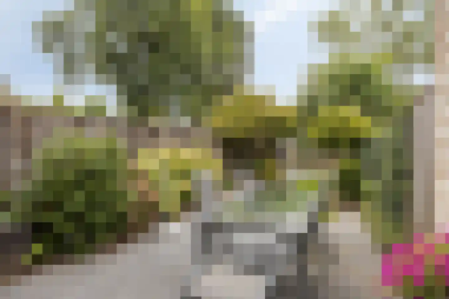 Cuijkstraat 39 Arnhem thumbnail 36