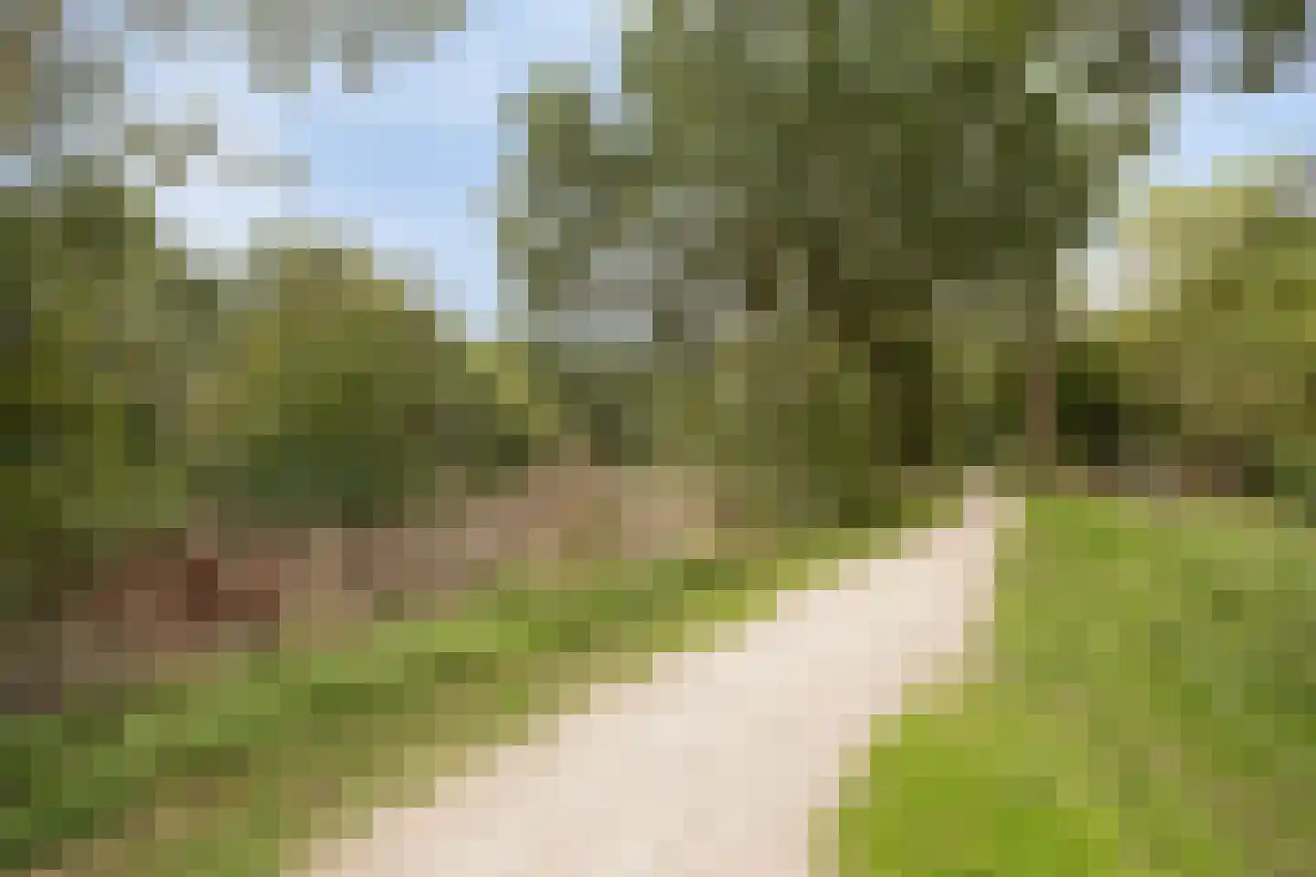 Cuijkstraat 39 Arnhem thumbnail 39