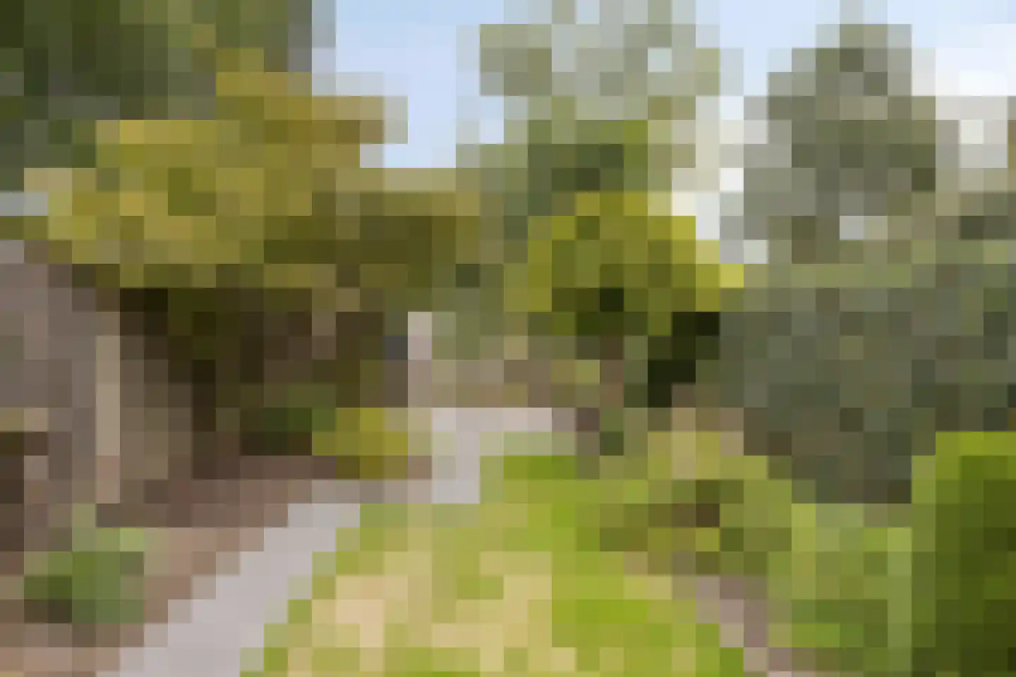 Cuijkstraat 39 Arnhem thumbnail 4